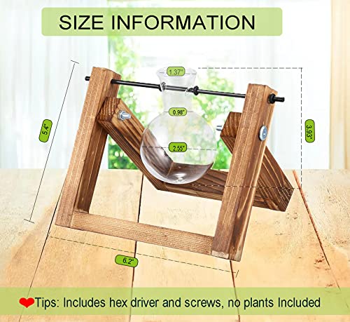 Kingbuy Plant Propagation Station Bulb Vase, 1 Bulb Vase | Air Plant Terrarium, Wooden Swivel Holder, Desktop Glass Planter, For Indoor Water Plants - size: 1 Bulb Vase