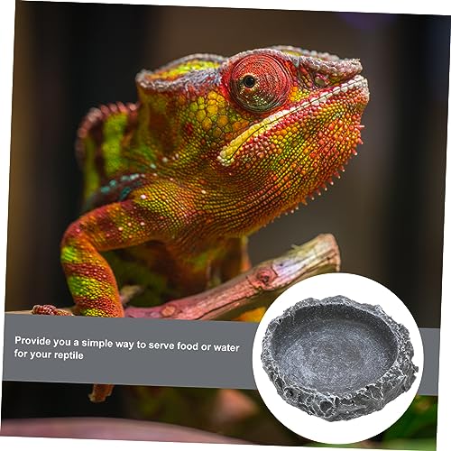 LIOOBO Tortoise Feeding Basin Reptile Water Bowl for Snake Lizard Turtle Pet Food Storage Basin Solid Material Easy Cleaning Reptile Accessories
