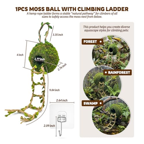 Moss Cave Hideout with Hanging Rope & Hemp Climbing Ladder – Natural Reptile Tank Decor Accessories for Crested Geckos, Chameleons, Tree Frogs, Leopard Geckos & Snakes. Terrarium & Vivarium Decor (4") - size: 4"