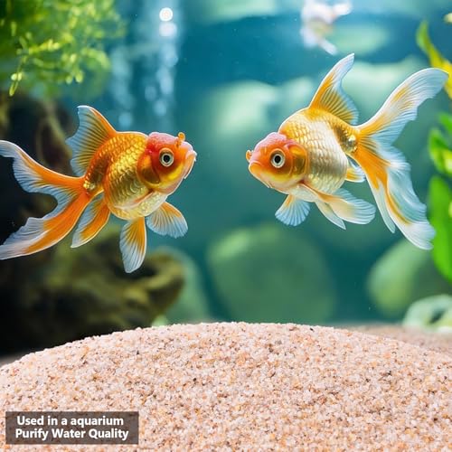10-20 Mesh Beige Aquarium Sand, Boniosz 2.4lb Fish Tank Sand Potting Sand Soil for Plants, Aquariums, Terrariums, Bonsai Succulent Cactus, Gardening Landscape - color: 10-20 Mesh Beige Aquarium Sand, size: 2.4lb
