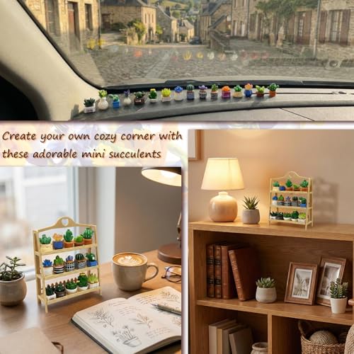 Miniature Mini Cactus Figurines Office Desk 15 Pcs Set Tiny Plants Decoration Artificial Potted Resin Succulent Small Cute Figures Ornament Terrarium Landscape - style: Succulent