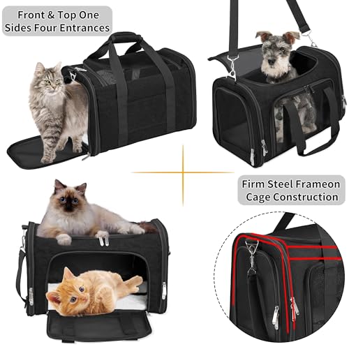 Soft-Sided Cat/Dog/Pet Carrier, Collapsible Pets Travel Carriers | for Big Cats/Small Dogs with Shoulder Strap & Removable Mat, Mesh Puppy Carry Bag, Up to 16 Lbs, TSA Airline Approved(Black) - color: BLACK, size: 17"L x 11"W x 11"H