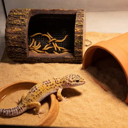 Reptile Feeding Bowls, Predator Pets Terrarium Dish, Lizards Chameleons Geckos Secure Base