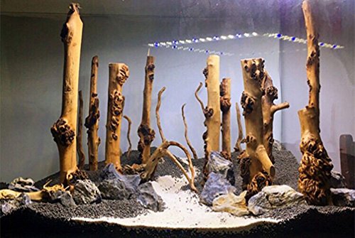 emours Reptile Décor Natural Forest Branch Terrarium Wood Aquarium Ornament, 4 Pack