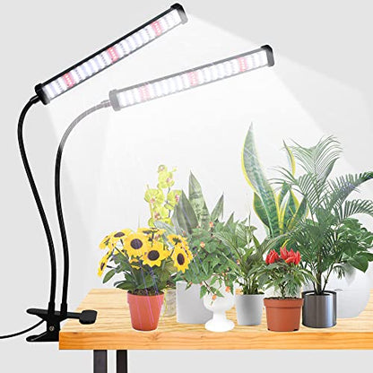 Grow Light 100W 6000K, Super Bright White Desktop Clip Plant Lamp | Desk Lamp for Pot Seedlings Succulents Seeds Indoor Plants Growing,Bendable Gooseneck & Timer 4 8 12 H - size: 100Watts
