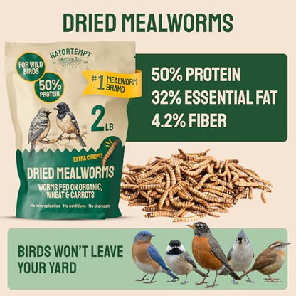 Hatortempt 2lb Dried Mealworms for Chickens, Birds, High Protein Bird Feed | High-Protein Wild Bird Food - Organic Diet Meal Worms - Hand Inspected Treats for Blue Birds, Robin, Ducks - 2 Yr Shelf Life - size: 2 Pound (Pack of 1)