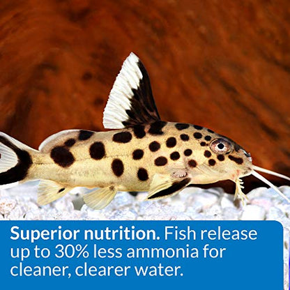 API BOTTOM FEEDER PELLETS WITH SQUID Fish Food 1.3-Ounce Container - size: 1.3 Ounce (Pack of 1), style: Bottom Feeders