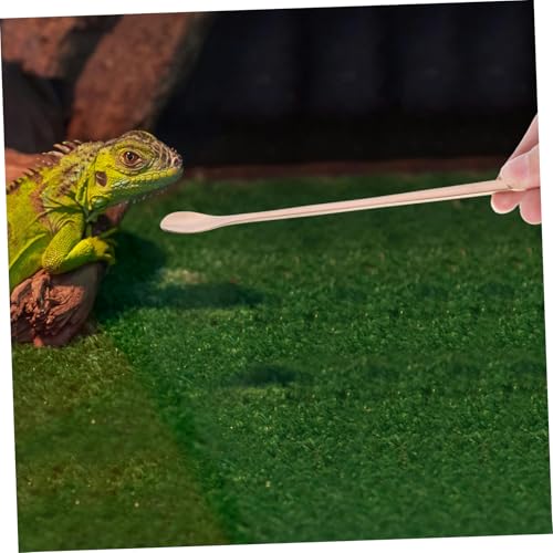 2pcs Stainless Steel Reptile Food Spoon Portable Small Animal Feeding Scoop for Lizards Geckos and Other Pets and Easy to Use Feeding Tool - color: Golden