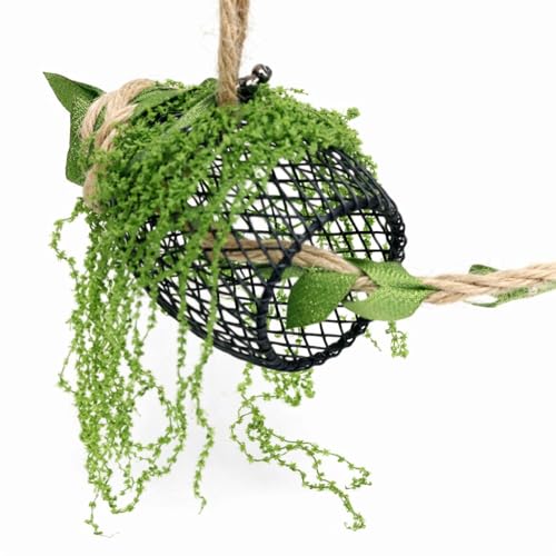 5Pcs Jumping Spider Enclosure Accessories with Hammock, Magnetic Climbing Rope, Resting Ledge Platforms and Feeding Dish Bowl & Hook for Terrarium Habitat (5Pcs Combination Kit) - color: 5Pcs Combination Kit