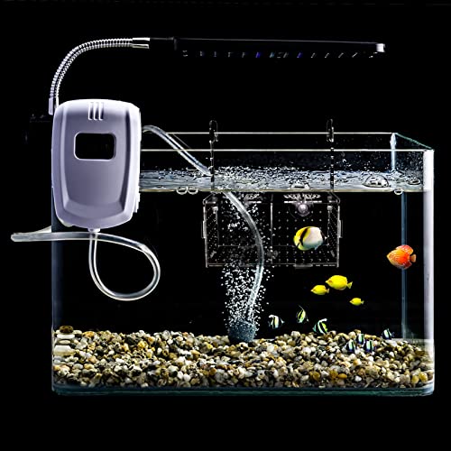 Fish Breeding Box for Aquarium Acrylic Fish Tank Breeder Divider Box with Suction Cups Transparent Hatchery Hanging Incubator for Fishes Shrimp Clownfish and Guppy 7.2" x 3.5" x 3.3"