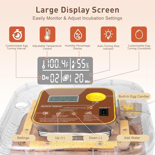Series IV - 12-Egg Fully Automatic Incubator, Low Maintenance, Sensor-Based Precise Humidity & Temp Control, Custom-Interval Auto Turn & Auto Stop, Preset Incubation Days, Candler, Alarms - size: New 12-Egg Brown