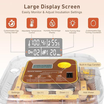 Series IV - 12-Egg Fully Automatic Incubator, Low Maintenance, Sensor-Based Precise Humidity & Temp Control, Custom-Interval Auto Turn & Auto Stop, Preset Incubation Days, Candler, Alarms - size: New 12-Egg Brown