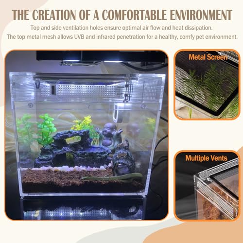 Reptile Terrarium, Jumping Spider Enclosure Starter Kit, Leopard Gecko Habitat Container, 8"x8"x7"Reptile Tank for Tarantula, Hermit Crab, Insect, Fish, Frog, Small Bearded Dragon, Lizard - size: 8"x8"x7"