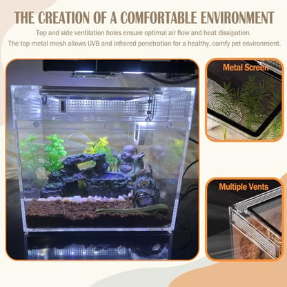 Reptile Terrarium, Jumping Spider Enclosure Starter Kit, Leopard Gecko Habitat Container, 8"x8"x7"Reptile Tank for Tarantula, Hermit Crab, Insect, Fish, Frog, Small Bearded Dragon, Lizard - size: 8"x8"x7"