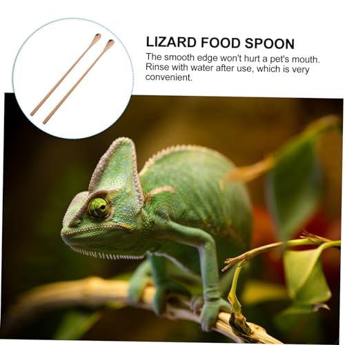 Happyyami 2pcs Reptile Feeding Handle Lizard Food Scoop Tool for Mixing and Fruit Pet Feeding Utensils for Lizards and Animals - color: Rose Gold