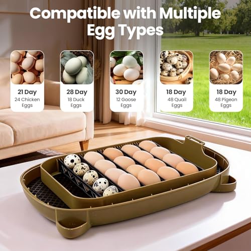 Incubators for Hatching Eggs,24 Eggs Capacity with Automatic Turning, Accurate Temp & Humidity Control, Egg Candler, Air Vent, 360° Viewing for Chicken, Duck, Quail & Goose Eggs