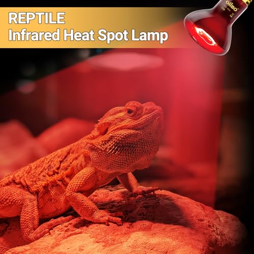 Reptile Heat Lamp Blub, 2Pack 75W Day & Night Reptile Heat Lamp,UVA Daylight Heat Basking Bulbs Infrared Heats Light Bulb for Reptiles Bearded Dragon Lizard Turtle