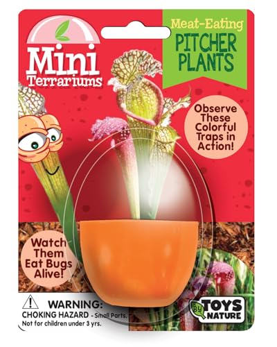 Toys By Nature Mini Terrarium Carnivorous Plant Bundle, 100% USA Made Complete Starter Kit Includes 2 Each of Flytraps, Pitcher Plants, Sundews, Easy to Grow Planting Seeds Just Add Water - color: Meat-Eating Bundle