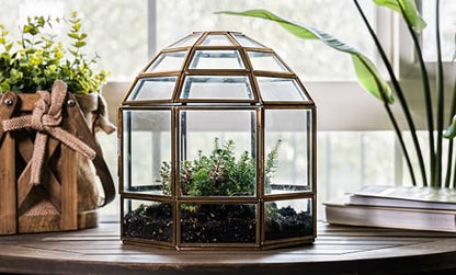 Urban Born Handmade Birdcage Large Glass Terrarium — 10" x 9" x 9" (Brass)