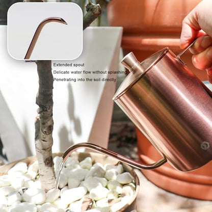 Watering Can for Indoor Plants Long Spout Metal Stainless Steel 21 oz Small Watering Can with 14 oz Glass Plant Mister Spray Bottle for Plants Bonsai - color: Rose Gold Watering Can+tawny Clear Spray Bottle