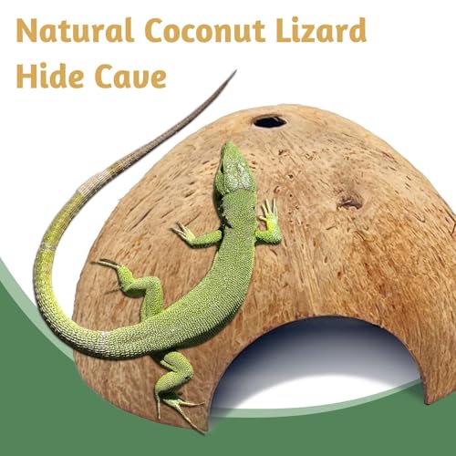 PINVNBY 6 PCS Natural Coconut Reptile Hideouts Lizard Coco Hut Hermit Crab Hut Aquarium Fish Hide Cave Spider Snail Climber Toys - size: 6 PCS Smooth Surface
