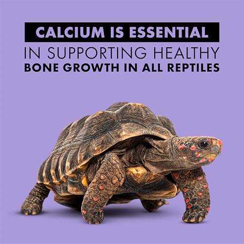 Zilla Calcium Supplement Spray 8 oz.