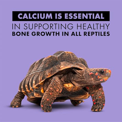 Zilla Calcium Supplement Spray 8 oz.