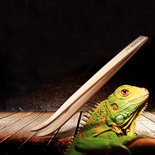 Youngy Angled Reptile Terrarium Feeding Tongs Tweezers Eco-Friendly Bamboo Feeding Tool
