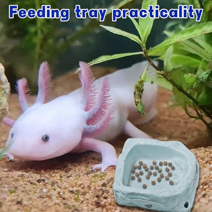 Axolotl Hammock Ledge for Aquarium with Feeding Dish and Feeding Tweezers，Axolotl Hammock with Ceramic Tray Feeder Bowl, Axolotls Accessories for Tank, Bearded Dragon Tank Accessories (7.8x3.9in)