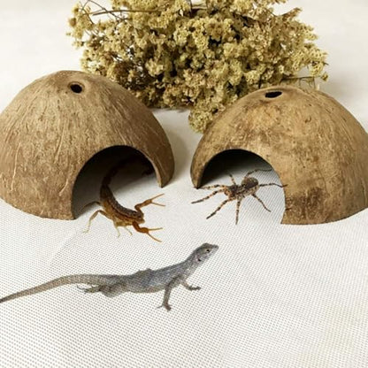 PINVNBY 2 PCS Natural Coconut Reptile Hideouts Lizard Coco Hut Hermit Crab Hut Aquarium Fish Hide Cave Spider Snail Climber Toys - size: 2 PCS Smooth Surface