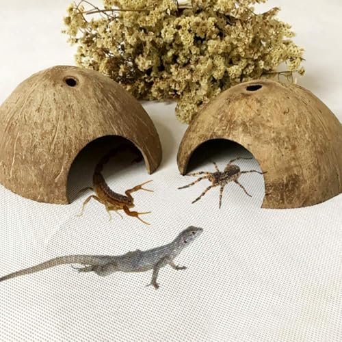 PINVNBY 2 PCS Natural Coconut Reptile Hideouts Lizard Coco Hut Hermit Crab Hut Aquarium Fish Hide Cave Spider Snail Climber Toys - size: 2 PCS Smooth Surface