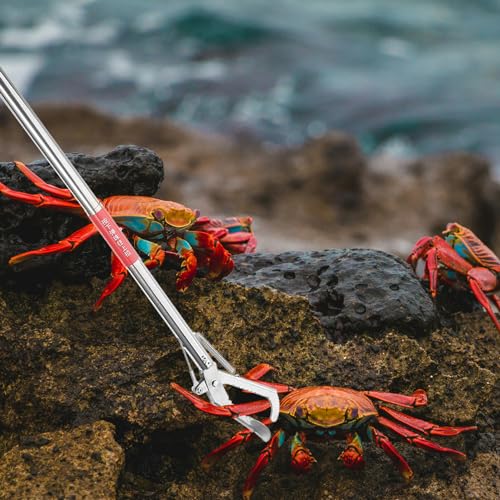 Stainless Steel Straight-Mouth Clip Non-Slip Crab Clamp Lobster Grabber Eel Catching Tool with Ergonomic Handle 29.52 Inch for Seafood and Waste Picking