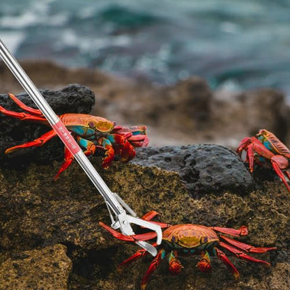 Stainless Steel Straight-Mouth Clip Non-Slip Crab Clamp Lobster Grabber Eel Catching Tool with Ergonomic Handle 29.52 Inch for Seafood and Waste Picking