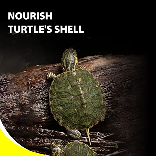Purify Series for Aquatic Turtle Food (Pack of 2) | Suitable for Turtles and Red Eared Slider, Floating Sticks, Good for Shell Health and Growth, 1.94 oz - size: 1.94 Ounce (Pack of 1)