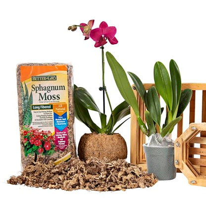 Better-Gro Sphagnum Moss - 100% Natural, Long-Fiber Moss for Orchids, Ferns, and Hostas, Excellent for Hanging Baskets and Propagating Plants - 240 Cubic Inches - size: Single