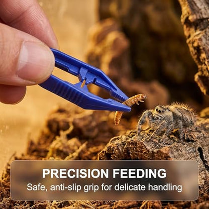 Jumping Spider Accessories Kit 5 Pcs,Spider Enclosure Starter Kit with Bottle,2 Soft Paint Brushes for Gentle Handling & 2 Plastic Feeding Tweezers for Care Tools
