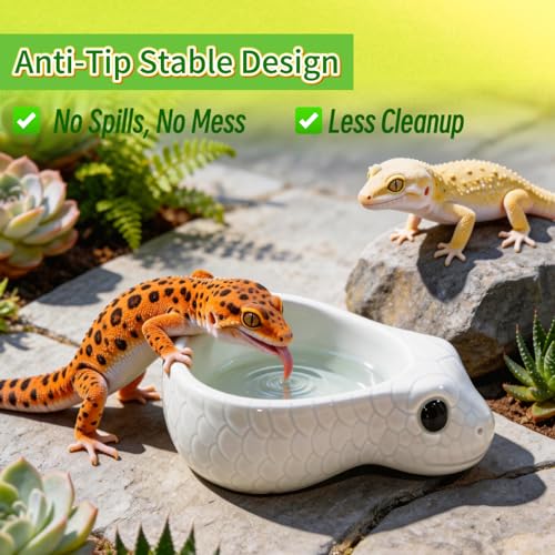Reptile Water Dish, Ceramic Snake Water Bowl for Snake, Leopard Gecko, Bearded Dragon and Lizard, Reptile Bathing Pool Food Feeding Dish, Terrarium Tank Accessories (White) - color: White