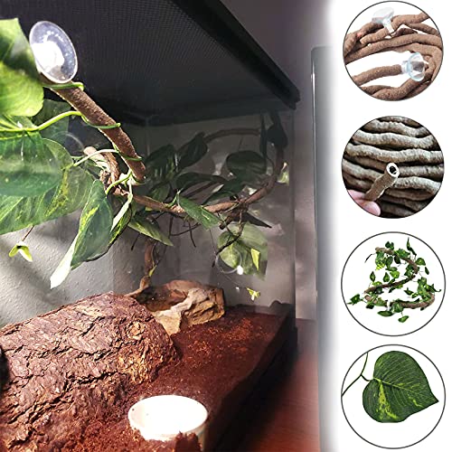 Tfwadmx 11Pcs Human Skull Decor with Plants, Snake Hide, Gecko Tank Accessories, Resin Skull with Climbing Vines Reptile Terrarium Tank Decor for Tarantulas, Lizards