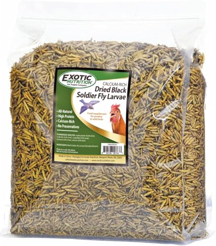 Exotic Nutrition 5LB Bulk Dried Black Soldier Fly Larvae - High-Calcium Insect Treat - Chickens, Wild Birds, Bluebirds - size: 5 Pound (Pack of 1)