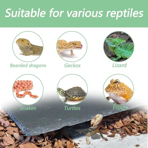 Bearded Dragon Basking Rock Platform,Reptile Basking Rock Slate with Bark Substrate Bedding,Tortoise Resting Climbing Feeding Bathing Platform Tank Accessories for Lizard Gecko Snake Frog (L) - size: L | 9.8" x 6"Slate Rock with Bark Substrate