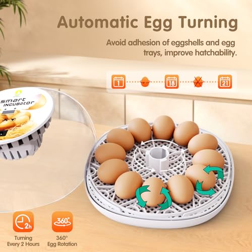 Egg Incubators for Hatching Eggs Chicken Eggs Incubator for Hatching Eggs Incubator with Automatic Egg Turner and Temperature Control for Chicken, Duck, Quail 12 Eggs