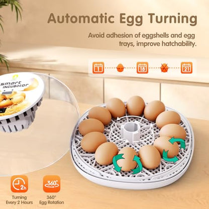 Egg Incubators for Hatching Eggs Chicken Eggs Incubator for Hatching Eggs Incubator with Automatic Egg Turner and Temperature Control for Chicken, Duck, Quail 12 Eggs