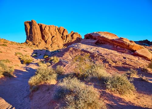 7x5FT Desert Backdrop Reptile Habitat Blue Sky Desert Rocky Bush Natural Scenery Photography Background Aquarium Background Hiking Camping Pictures Home Decor Photo Studio Props - color: Natural landscape backdrop 3