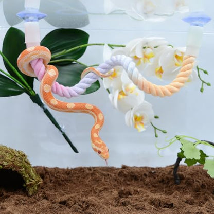 Snake Enrichment, Ball Python Tank Accessories, Gradient Climbing Decoration Rope with Suction Cups, Snake Climbing Accessories, Ball Python Enrichment - size: 60cm