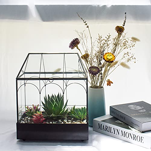 Large Tall Glass Plant Terrarium – House Succulent Terrarium Kit with Lip and Tray Glass Greenhouse Terrarium for Plant 9.5”X5.7”X11.4” - color: Black 3