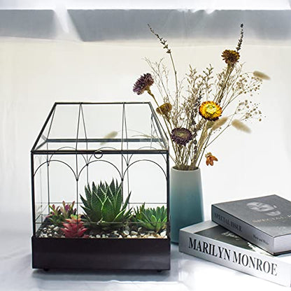 Large Tall Glass Plant Terrarium – House Succulent Terrarium Kit with Lip and Tray Glass Greenhouse Terrarium for Plant 9.5”X5.7”X11.4” - color: Black 3