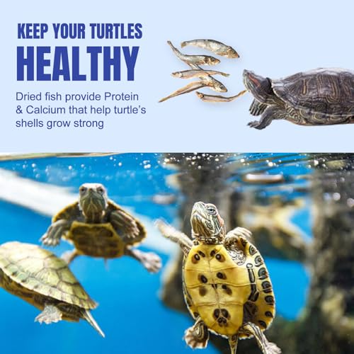 Amzey 2.3 oz Dried River Fish - Natural Food for Turtles, Terrapins, Reptiles and Large Tropical Fish - size: 2.3 Ounce (Pack of 1)