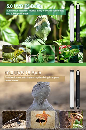 24W T5 HO UVB Reptile Light Fixture Kit, Terrarium Hood Light with Desert UVB 10.0 Fluorescent Tube, Ideal for Tropical and Desert Habitats - size: 22 In