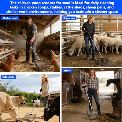 13-inch Sand-Grade Chicken Poop Scooper, Large Adjustable Metal Poultry House Manure Scoop, Chicken Poop Scooper Suitable for Cleaning Chicken Coops, Stables, Gardens, and Small Farms