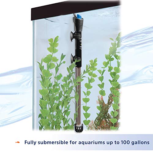 Aqueon Submersible Aquarium Heater, 300 Watts, Up to 100 Gallons - size: 300 Watts, Up to 100 Gallons